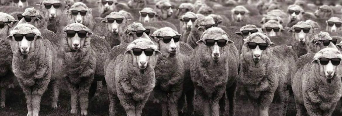 LOKALNI IZBORI - POBEDA BLJUTAVOG UKUSA