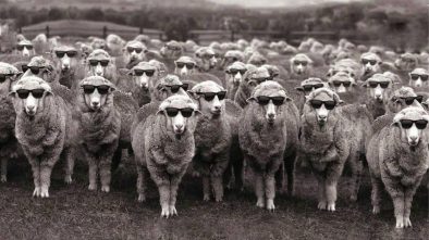 LOKALNI IZBORI - POBEDA BLJUTAVOG UKUSA