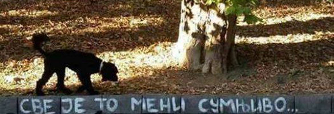 SRBISTAN ZEMLJA NEZADOVOLJSTVA