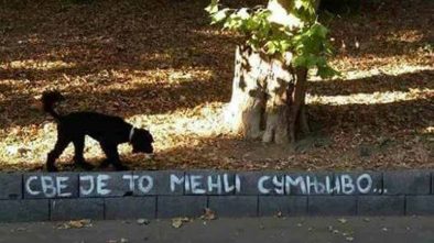 SRBISTAN ZEMLJA NEZADOVOLJSTVA